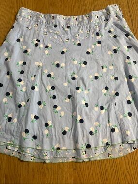 American Eagle Outfitters Light Blue Cherry-Print Skater Skirt